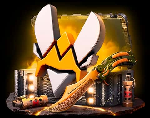 Vitality case