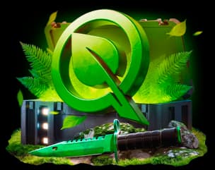 FlyQuest case
