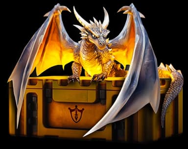 Dragon Coil case