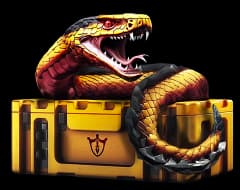 Snakebite
