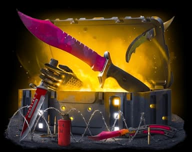 Suministro ilegal case