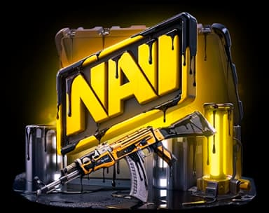 Natus Vincere case