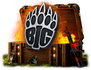 BIG case